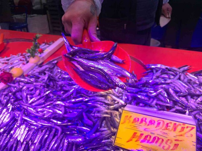 Lodos Balık Tezgahlarını Da Etkiledi