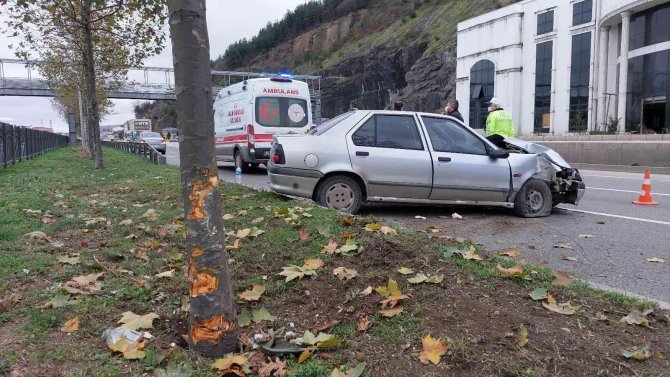Samsun’da Otomobil Ağaca Çarptı: 2 Yaralı