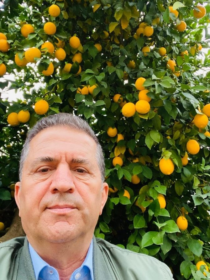 Üretici Limona Desteği Yeterli Bulmadı