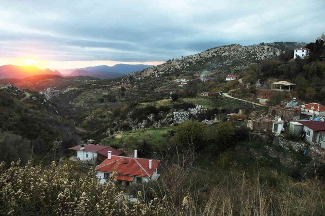 Zeytinköy’ün Karası Yeşile Büründü