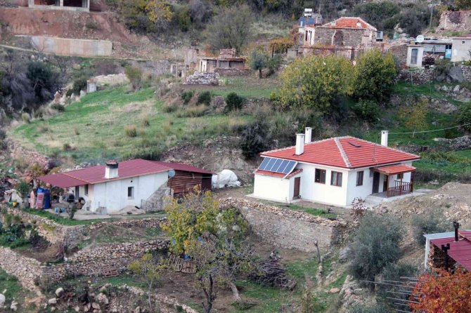 Zeytinköy’ün Karası Yeşile Büründü