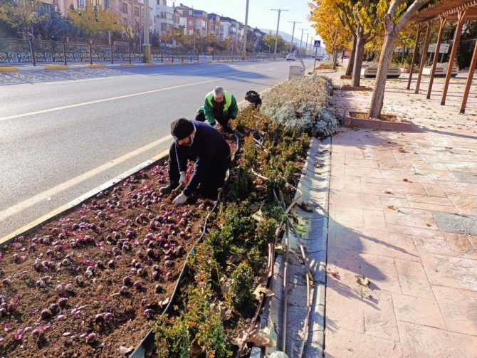 Elazığ’da 107 Bin Çiçek Toprakla Buluştu