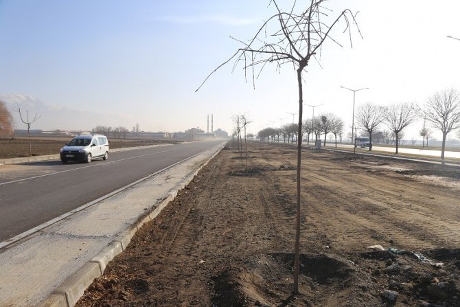 Erzincan’da Ağaçlandırma Çalışmaları Devam Ediyor