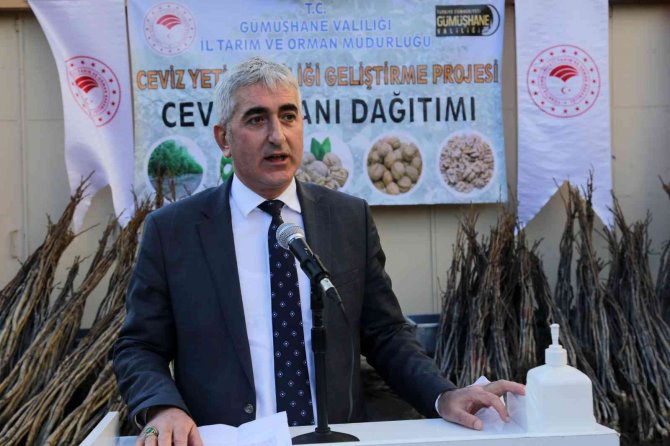 Gümüşhane’de 5 Bin 322 Adet Ceviz Fidanı Daha Toprakla Buluştu