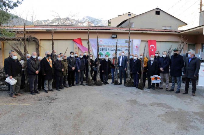 Gümüşhane’de 5 Bin 322 Adet Ceviz Fidanı Daha Toprakla Buluştu