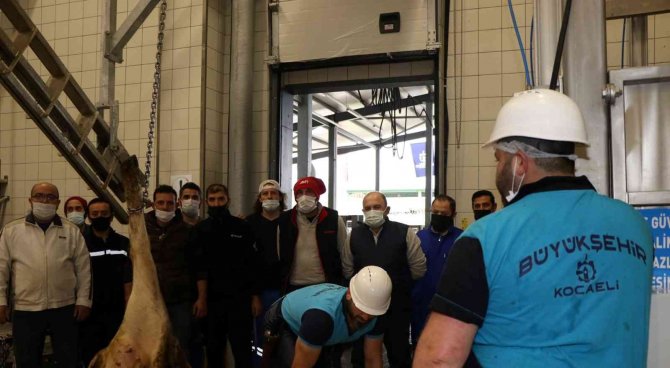 Büyükşehir Mezbahasında Kurban Kesimi Eğitimleri