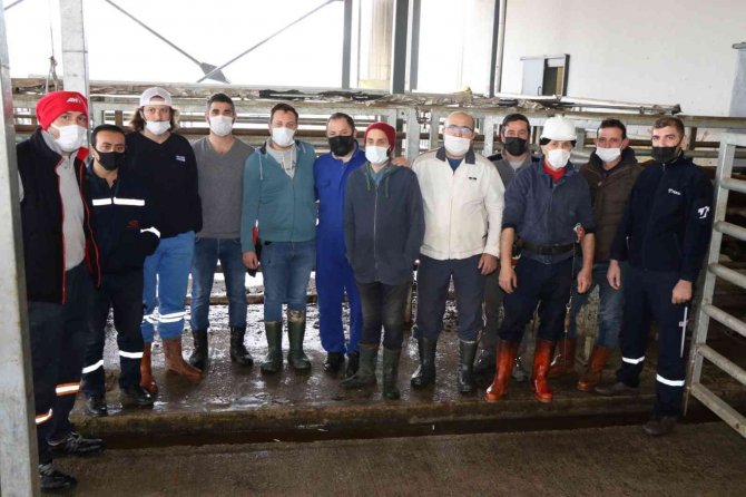 Büyükşehir Mezbahasında Kurban Kesimi Eğitimleri