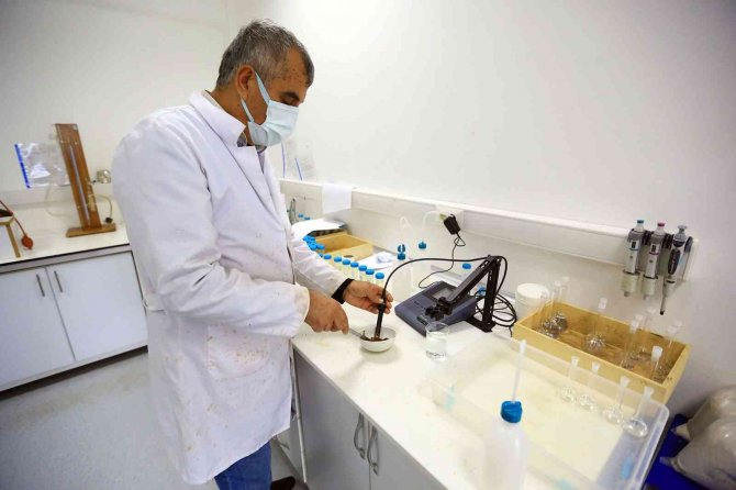 Muğla’da 39 İl Ve 2 Ülkenin Toprak, Bitki Ve Su Analizi Yapıldı