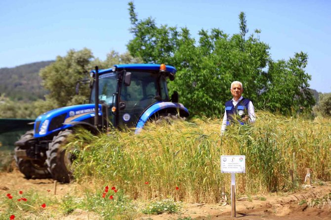Muğla’da 39 İl Ve 2 Ülkenin Toprak, Bitki Ve Su Analizi Yapıldı