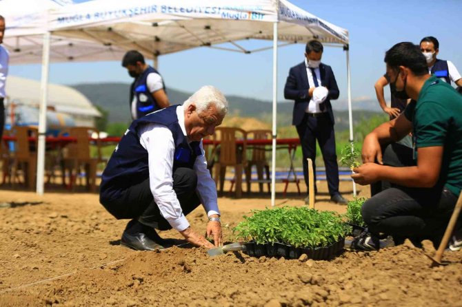Muğla’da 39 İl Ve 2 Ülkenin Toprak, Bitki Ve Su Analizi Yapıldı