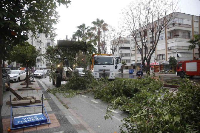 Büyükşehir, Fırtına Sebebiyle Kent Genelinde Teyakkuza Geçti