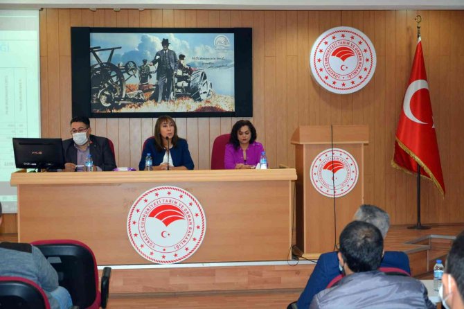 Aydın’da Su Ürünlerini Arttırmaya Yönelik Toplantı Düzenlendi