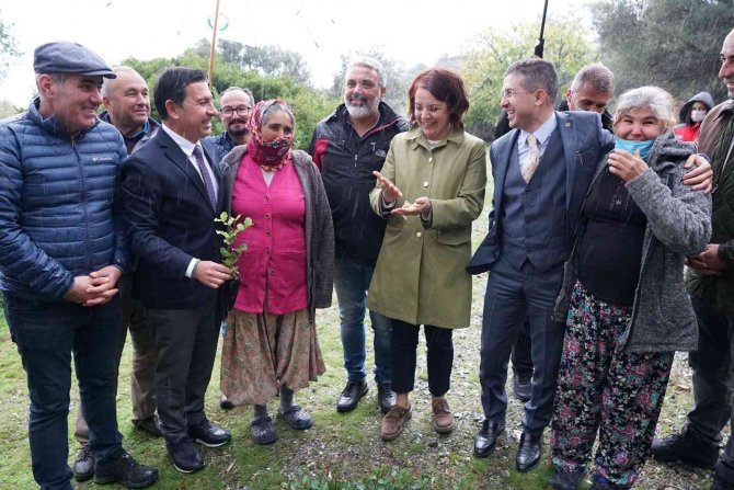 Üreticilere 20 Bin Adet Keçiboynuzu Fidanı Dağıtıldı