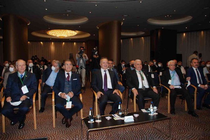 Bu Yılın Zeytinyağı İhracatı Hedefi 50 Bin Ton