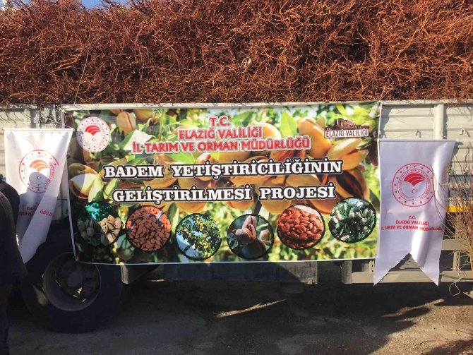 Elazığ’da Çiftçiye 68 Bin 500 Adet Badem Fidanı Dağıtıldı