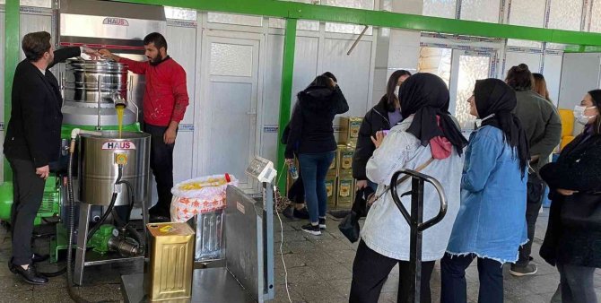 Üniversiteli Gencler Zeytinyağı Üretimini Yakından Gördü