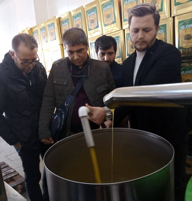 Üniversiteli Gencler Zeytinyağı Üretimini Yakından Gördü