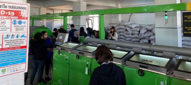 Üniversiteli Gencler Zeytinyağı Üretimini Yakından Gördü