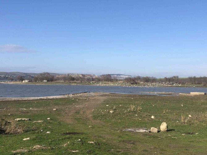 İ̇stanbul’un Barajlarında Son Durum