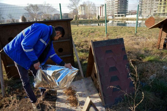 Elbistan’da Sokak Hayvanlarına Belediyeden Mama Ve Yem Desteği