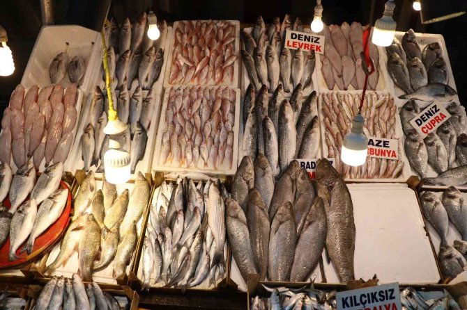 Havalar İyi Gitti, Balık Fiyatları Artmadı
