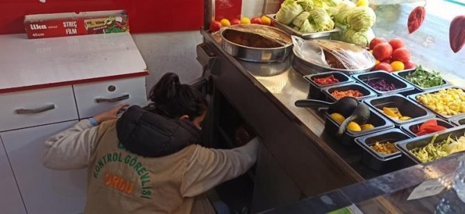 Ordu’da 78 İşletmeye Gıda Cezası