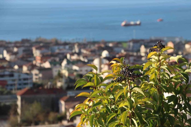 Kocaeli’de Gökkuşağı Hayran Bıraktı