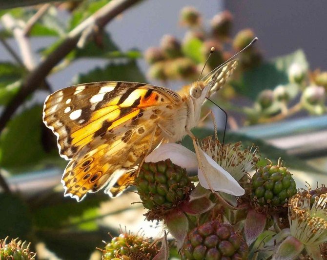 Samsun’un Sürdürülebilir Eko Turizm Alanları