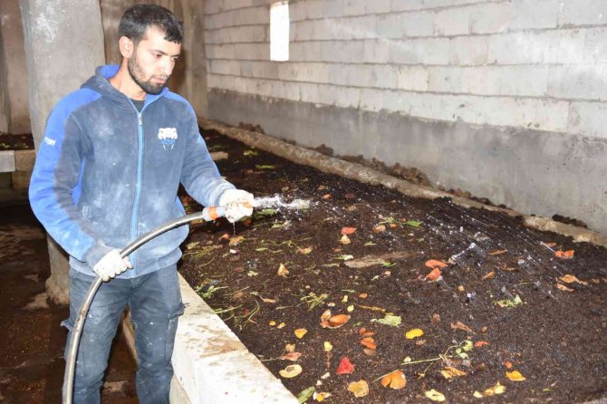 Siverekli Genç Girişimci, Solucanlarla Organik Gübre Üretiyor