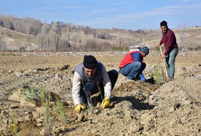 Ahlat Lavanta Parkı Projesi Fotoğraf Turizmine Katkı Sunacak