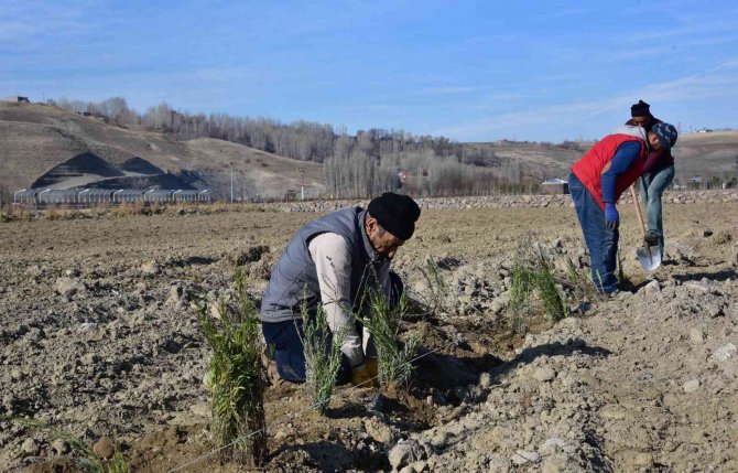Ahlat Lavanta Parkı Projesi Fotoğraf Turizmine Katkı Sunacak