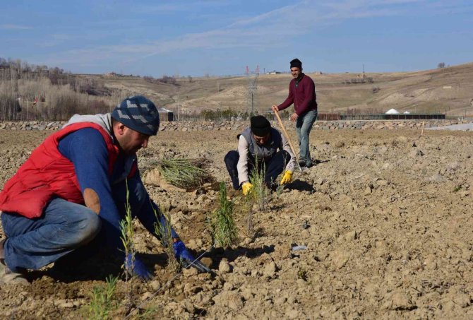 Ahlat Lavanta Parkı Projesi Fotoğraf Turizmine Katkı Sunacak