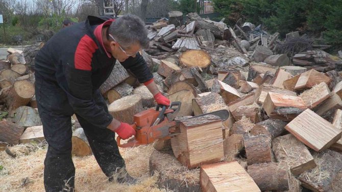 Budanan Ağaç Dalları İhtiyaç Sahiplerine Yakacak Oluyor