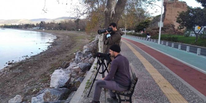 Bursa’da Nesli Tükenmekte Olan Ördekler İçin Seferberlik