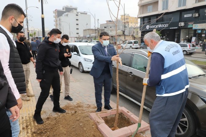 Cizre Kaymakamı Tunç, Ağaçlandırma Çalışmalarına Katıldı