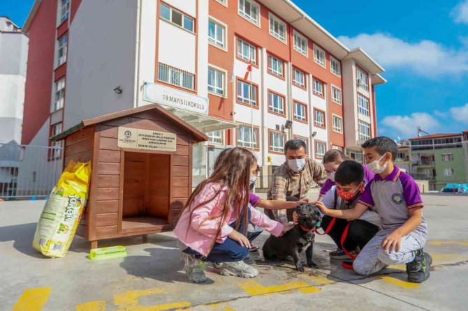 Her Okula Bir Sokak Köpeği Projesi 25 Okula Ulaştı