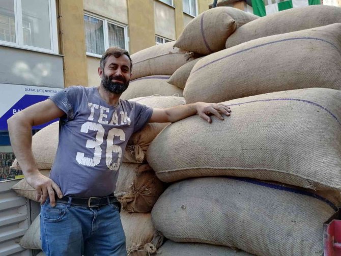 Fındık Fiyatı Yükselişini Sürdürüyor
