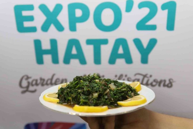 Alternatif Tarım Ürünleri Expo İle Tanıtılıyor