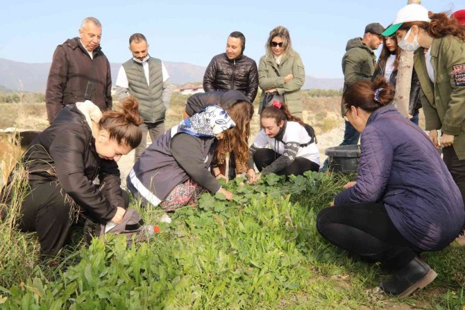 Alternatif Tarım Ürünleri Expo İle Tanıtılıyor