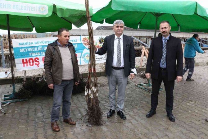 Manisa’da Binlerce Fidan Üreticilere Dağıtıldı