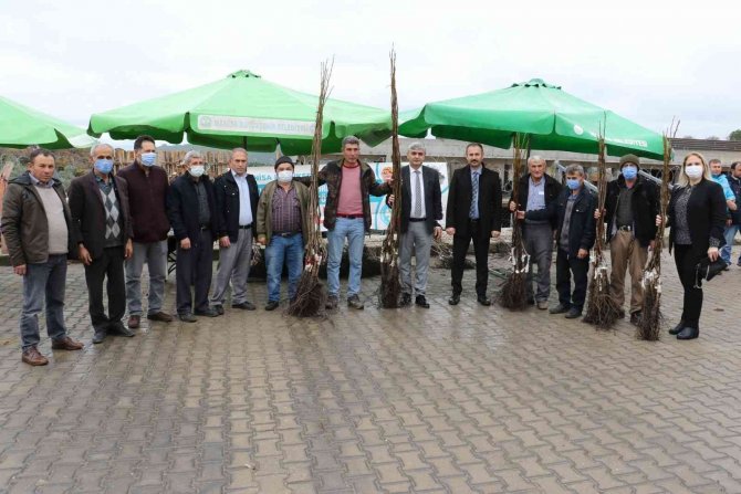 Manisa’da Binlerce Fidan Üreticilere Dağıtıldı