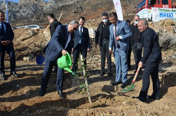 Vali Su, Yanan Orman Alanlarında Fidan Dikti