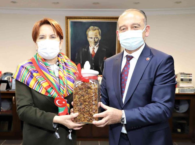 İ̇yi̇ Parti Genel Başkanı Akşener Başkan Akın’la Görüştü