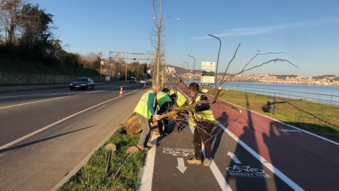 Ordu’da Yeşil Seferberlik