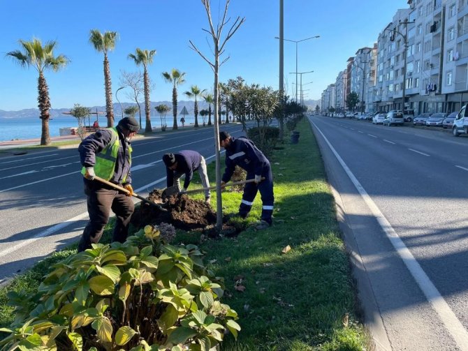 Ordu’da Yeşil Seferberlik