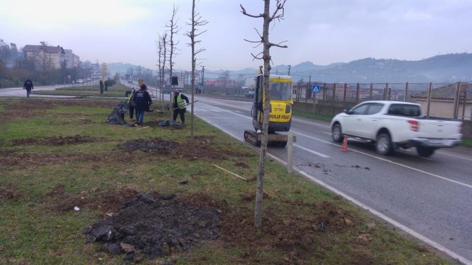 Ordu’da Yeşil Seferberlik