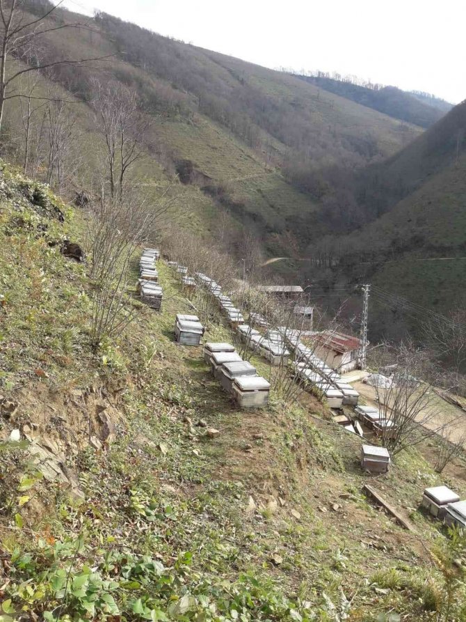 Bahçesinde Ateş Yakarken Ormanlık Alanda Yangına Neden Oldu