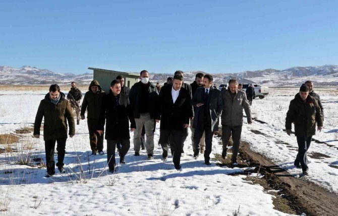 Bakışık’ın Hayvan İçme Suyu Sorunu Giderildi