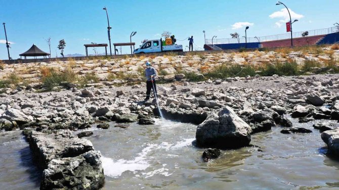 Van Büyükşehir Belediyesi Binlerce İnsana Ücretsiz Sağlık Hizmeti Sunuyor