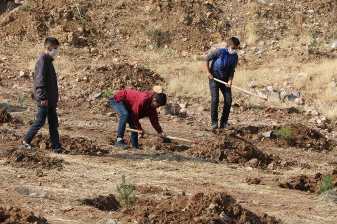 Yahyalılı Gençler Fidanları Toprakla Buluşturdu